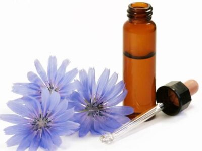 flores-de-bach-640x422-1